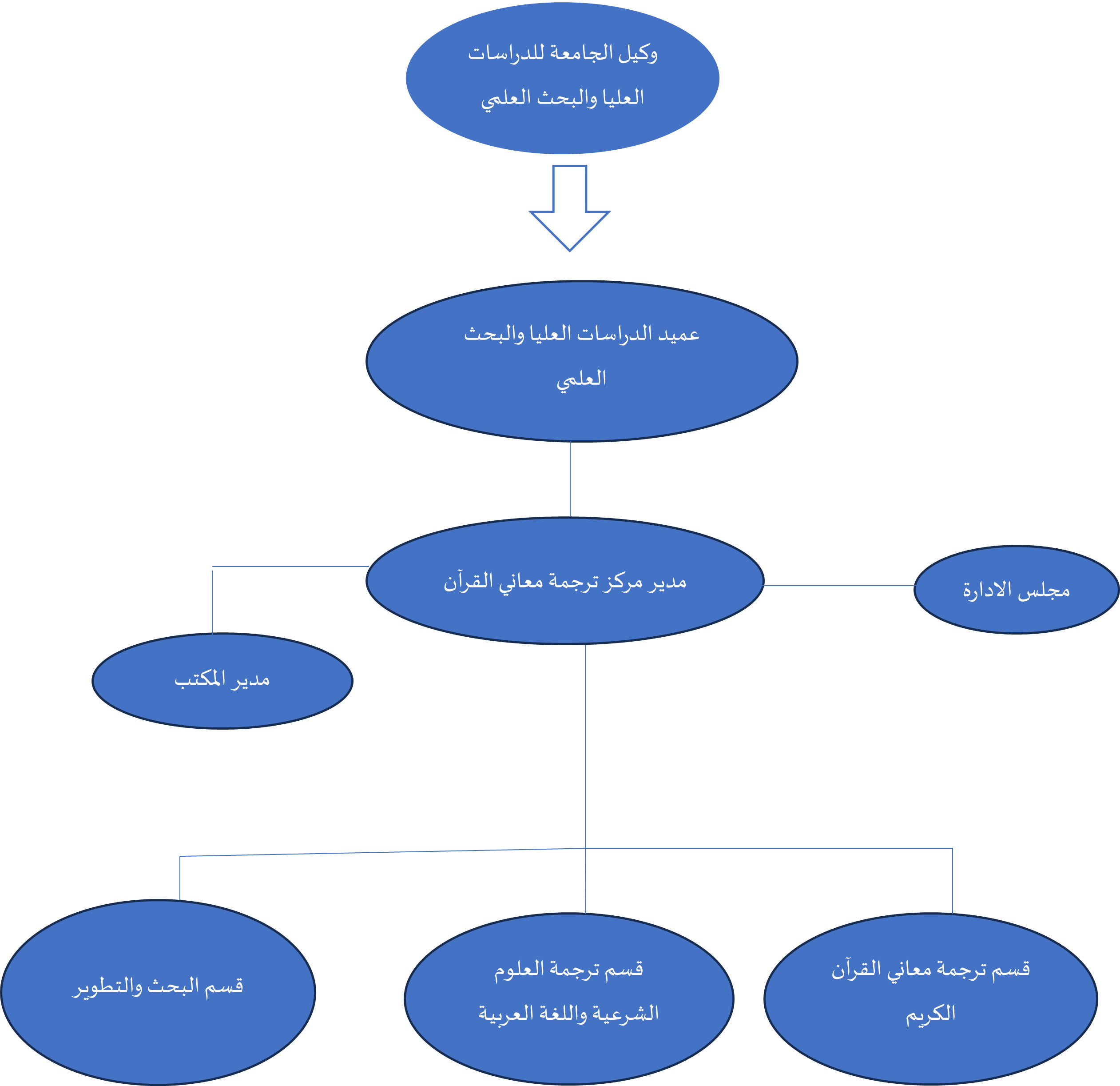 الهيكل التنظيمي